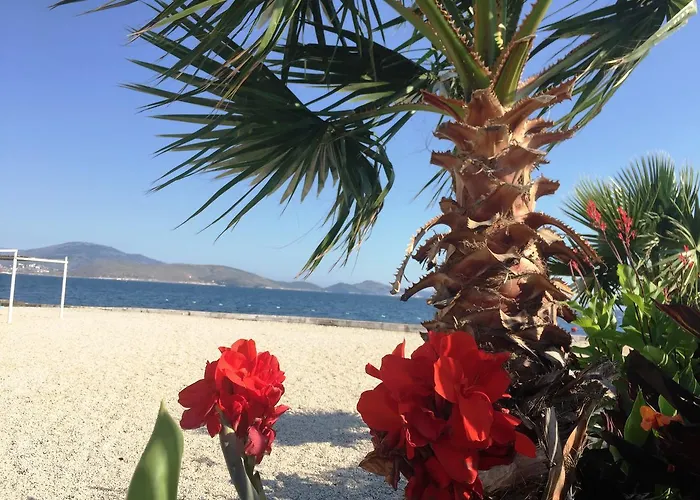 Luxury In Royal For King And Queen Apartment