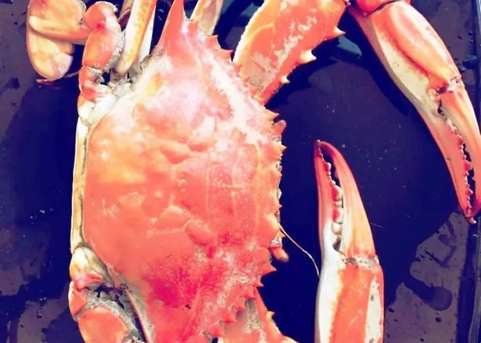 Luxury In Royal For King And Queen Apartment *